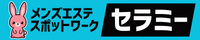 Theramee セラミー 公式バナー（ブルー）